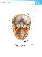 Sobotta Atlas of Human Anatomy  Head,Neck,Upper Limb Volume1 2006, page 74